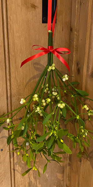 Mistletoe Bunch, Delivery included on this product !!!