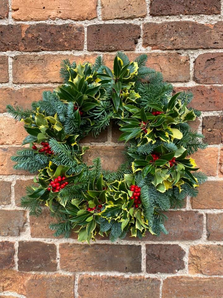 Noble Fir Backed Holly Wreath Un-decorated