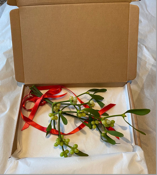 Mistletoe "Kiss in a Box" Delivery included on this product !!!